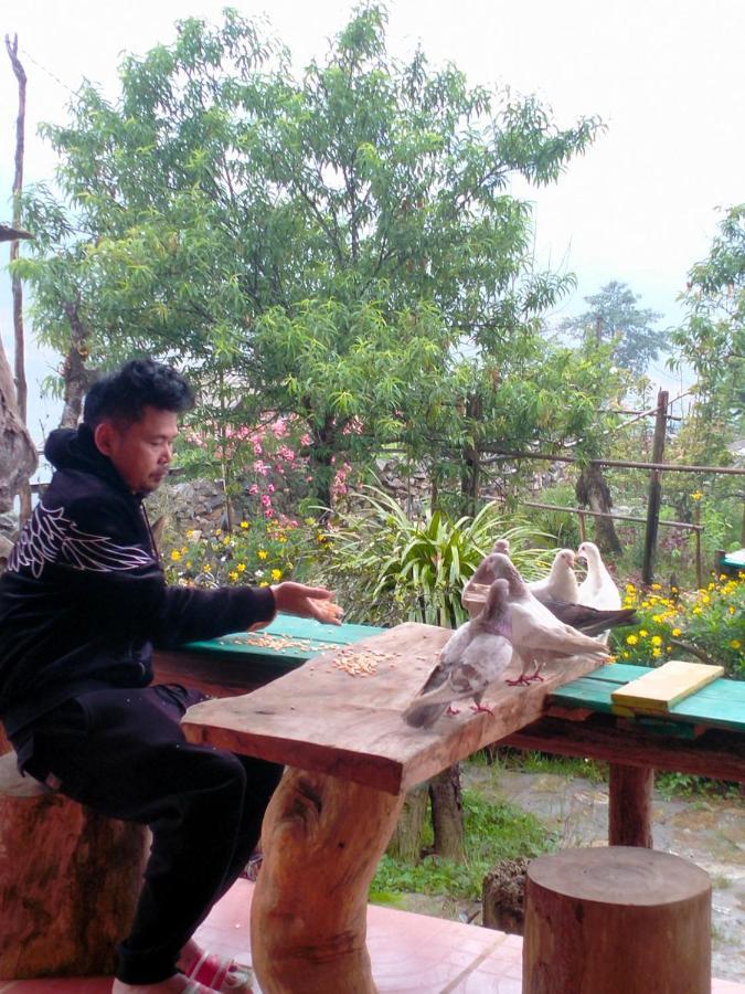H'Mong Co Tran Sapa Homestay Exterior foto