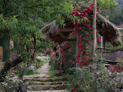 H'Mong Co Tran Sapa Homestay Exterior foto