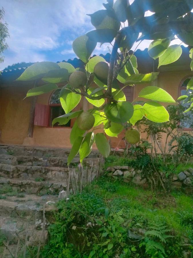 H'Mong Co Tran Sapa Homestay Exterior foto