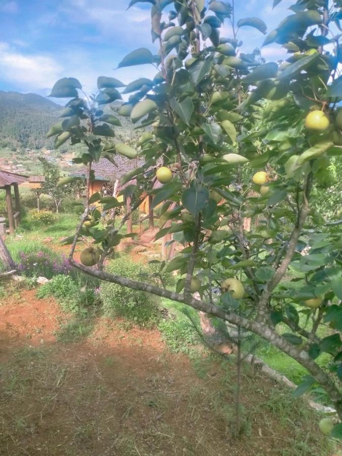 H'Mong Co Tran Sapa Homestay Exterior foto