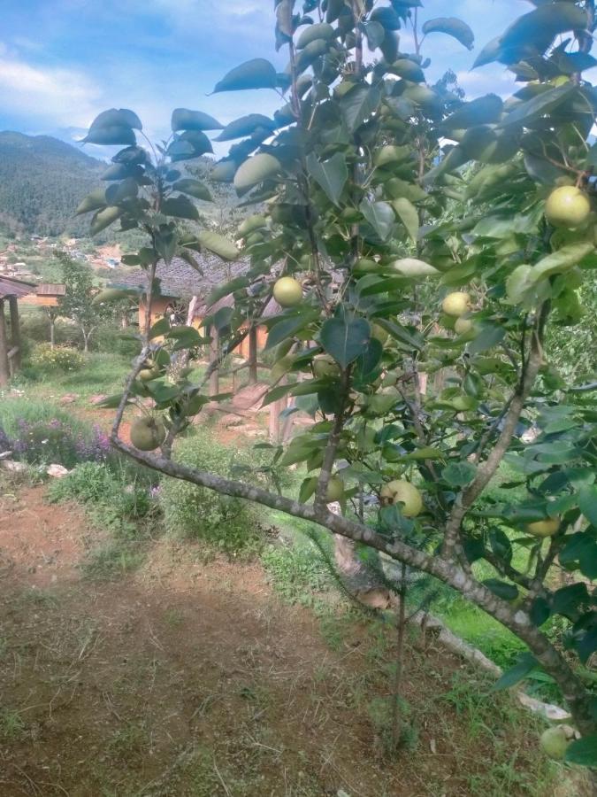 H'Mong Co Tran Sapa Homestay Exterior foto